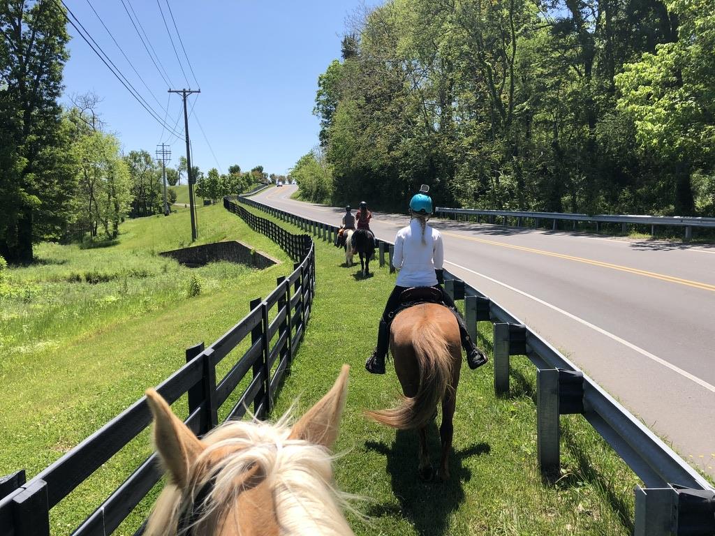 Three riders on horseback follow a grassy path between a black board fence and a rural Williamson County road on a sunny day.